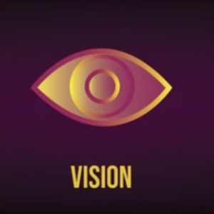 Vision.png